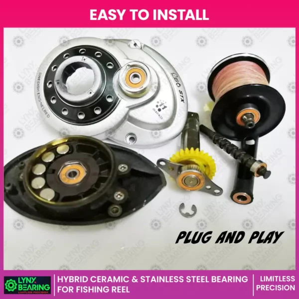 main 1 - lynx bearing